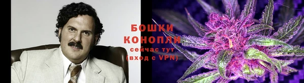 гидропоника Богородицк
