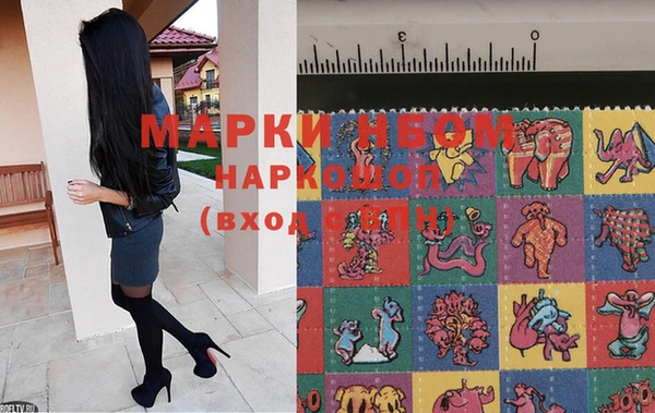 тгк Беломорск