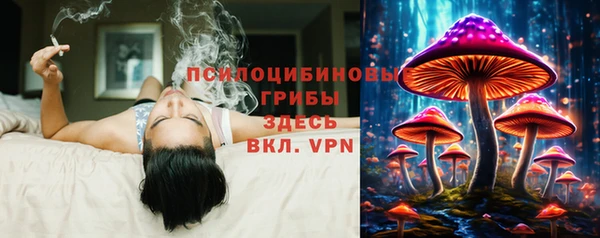 тгк Беломорск